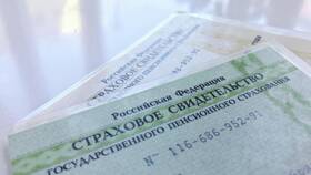 Что дает номер СНИЛС мошенникам в Кира Пластинина