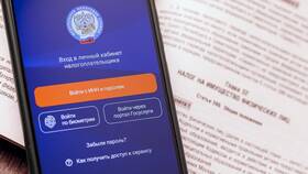 Использование портала Госуслуги для физических лиц в Кира Пластинина