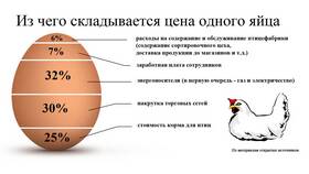 Из чего состоит стоимость товара в Кира Пластинина