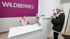 Как оценить работу Wildberries в Кира Пластинина