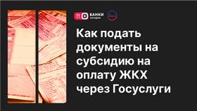 Как оформить гражданство РФ через Госуслуги в Кира Пластинина