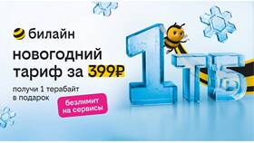 Как оплатить интернет на Билайн в Кира Пластинина