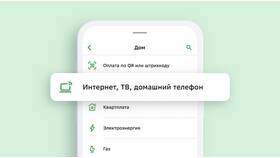 Как оплатить счет через интернет в Кира Пластинина