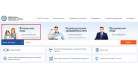 Как подать налоговую декларацию онлайн через Госуслуги в Кира Пластинина