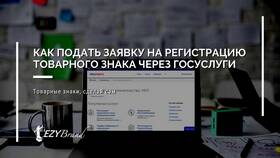 Как подать заявку на аккредитацию через Госуслуги в Кира Пластинина