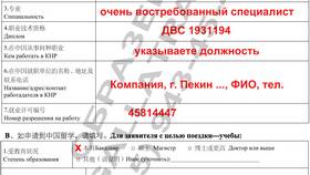 Как подавать визу в Китай в Кира Пластинина