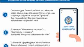 Как получить ИНН через личный кабинет налогоплательщика в Кира Пластинина