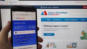 Как получить исполнительный лист через Госуслуги в Кира Пластинина