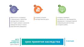 Как получить наследство по завещанию: пошаговая инструкция в Кира Пластинина