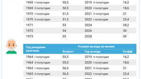Как получить пенсионные выплаты досрочно в Кира Пластинина