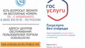 Как получить услуги на портале Госуслуги в Кира Пластинина