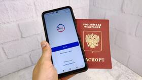 Как поменять заграничный паспорт через Госуслуги в Кира Пластинина