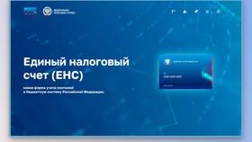 Как посмотреть единый налоговый счет юридического лица в Кира Пластинина
