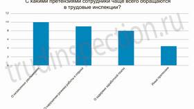 Как правильно написать заявление в трудовую инспекцию в Кира Пластинина