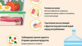 Как правильно следовать инструкции в Кира Пластинина