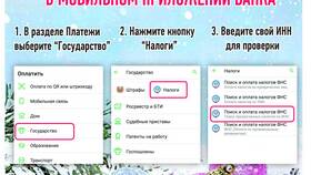 Как проверить и оплатить налоги в Кира Пластинина