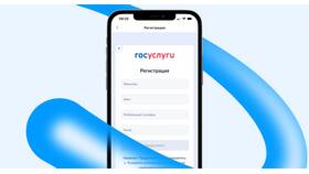 Как проверить реквизиты на портале Госуслуг в Кира Пластинина