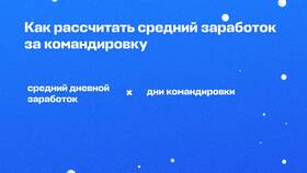Как рассчитать средний заработок в Кира Пластинина