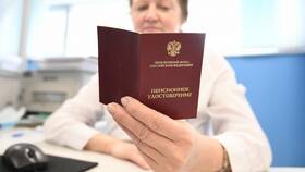 Как рассчитывается пенсионный коэффициент в Кира Пластинина