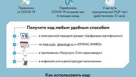 Как скопировать QR-код для повторного использования в Кира Пластинина