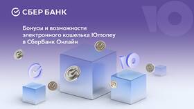 Как снять деньги с электронного кошелька в Кира Пластинина
