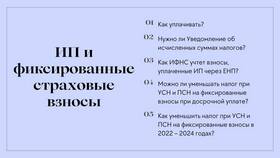 Как уменьшить УСН на страховые взносы в Кира Пластинина