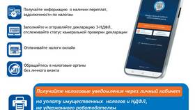 Как войти в личный кабинет ФНС в Кира Пластинина