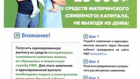 Как войти в личный кабинет ПФР: подробная инструкция в Кира Пластинина