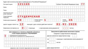 Как заполнить декларацию ИП в 2025 году в Кира Пластинина