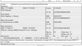 Как заполнить платежное поручение на страховые взносы от несчастных случаев в Кира Пластинина