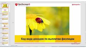 Код вида дохода 2: что это означает в Кира Пластинина