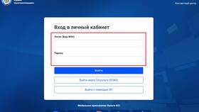 Корректировка 2 в налоговой декларации: что это в Кира Пластинина