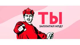 Не хочу платить налоги: возможные варианты действий в Кира Пластинина