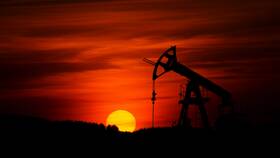Отличия привилегированных и обычных акций Сургутнефтегаза в Кира Пластинина