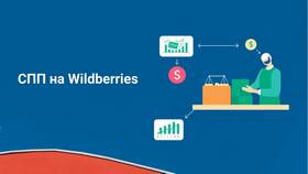 Почему цена товара на Wildberries меняется в Кира Пластинина