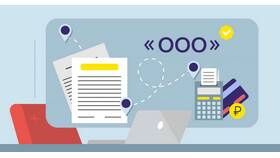 Почему госслужащим нельзя открыть ИП в Кира Пластинина