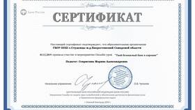 Преимущества зарплатной карты Сбербанка в Кира Пластинина