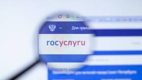 Сроки подтверждения учетной записи Госуслуг через МФЦ в Кира Пластинина