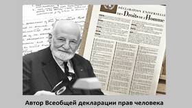 Всеобщая декларация прав человека: значение и применение в Кира Пластинина