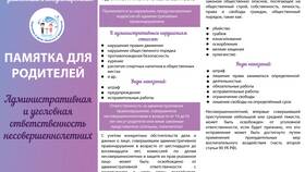 За что дают административный штраф в Кира Пластинина