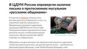 Заключение как официальный документ в Кира Пластинина