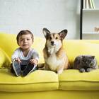 Эффективные способы выведения запаха детской мочи
