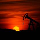 Отличия привилегированных и обычных акций Сургутнефтегаза